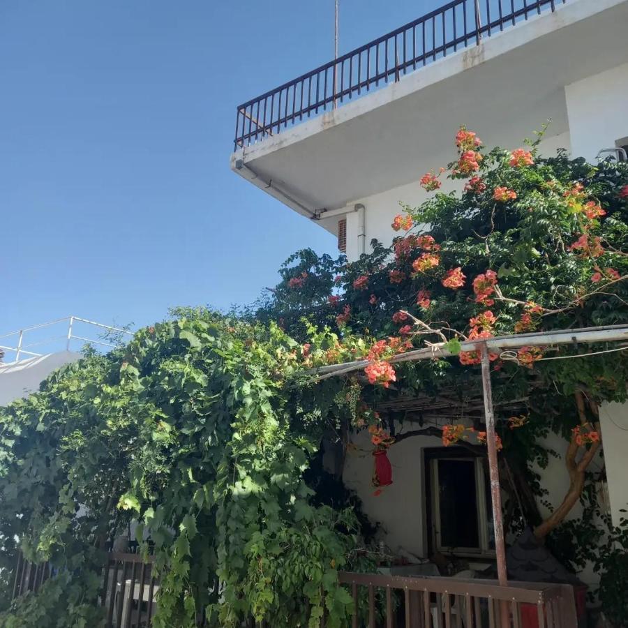 Ampelos Andros Batsíon Exterior foto